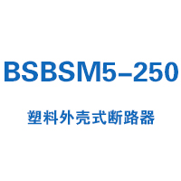 BSBSM5-250塑料外殼式斷路器