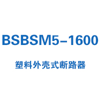 BSBSM5-1600塑料外殼式斷路器